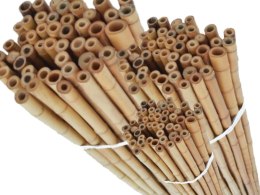 Tyczki bambusowe PODPORY 105 cm (10/12 mm) - 100 szt.