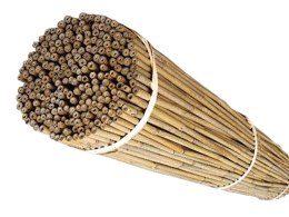 Tyczki bambusowe PODPORY 45 cm (8/10 mm) - 100 szt.